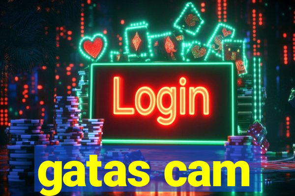 gatas cam